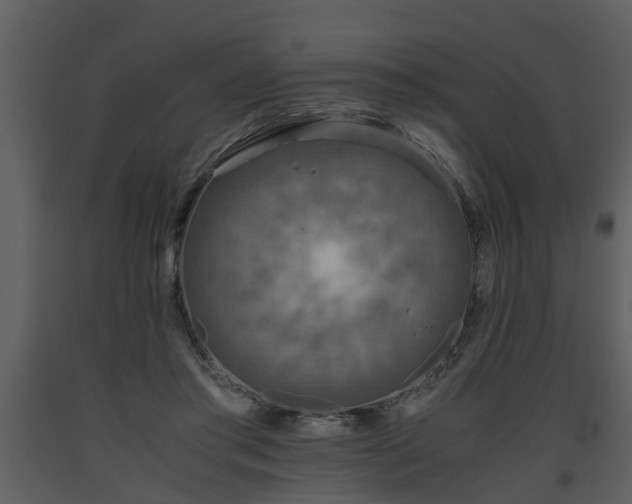 X0000093440405200710191045
