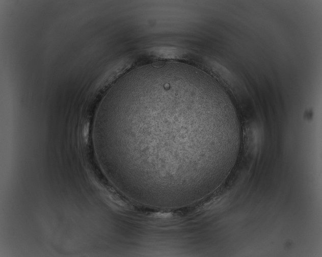 X0000093440406200710191045