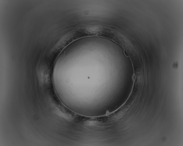 X0000093440408200710191045