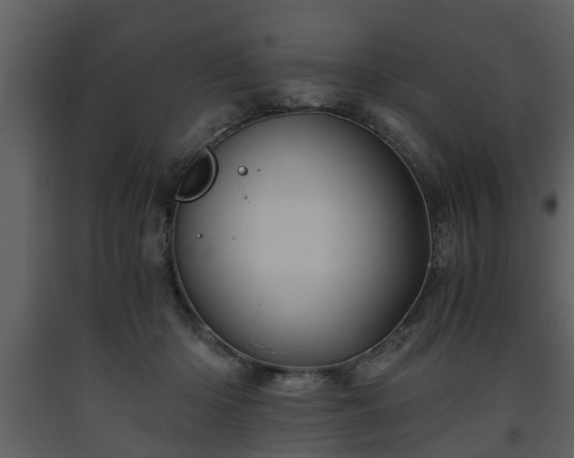 X0000093440414200710191045