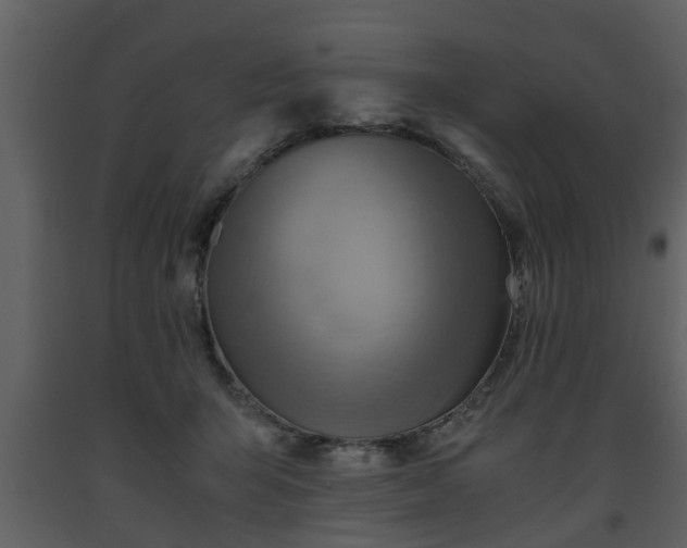 X0000093440415200710191045