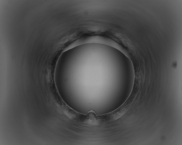 X0000093440416200710191045