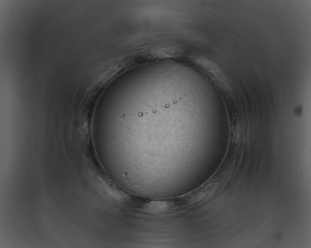 X0000093440418200710191045