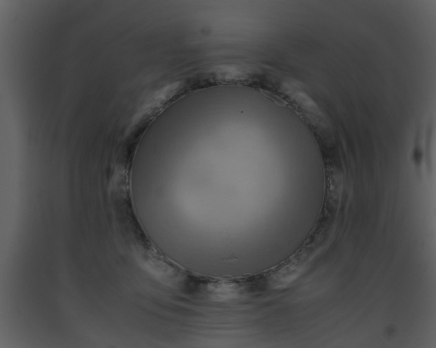 X0000093440419200710191045