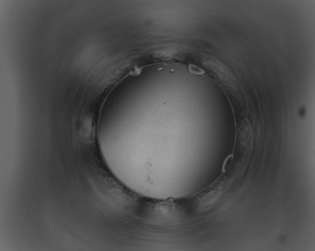 X0000093440420200710191045