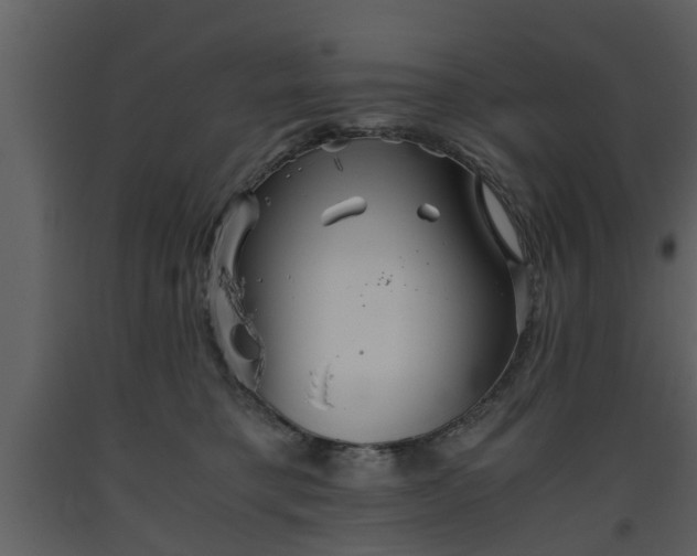 X0000093440421200710191045