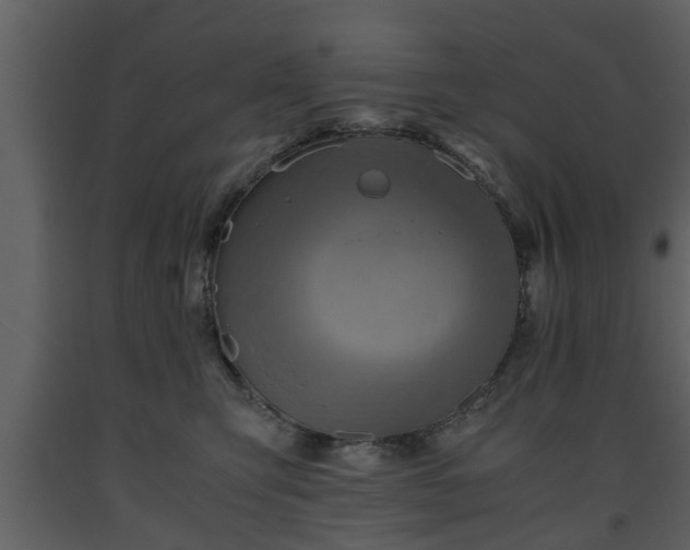 X0000093440423200710191045