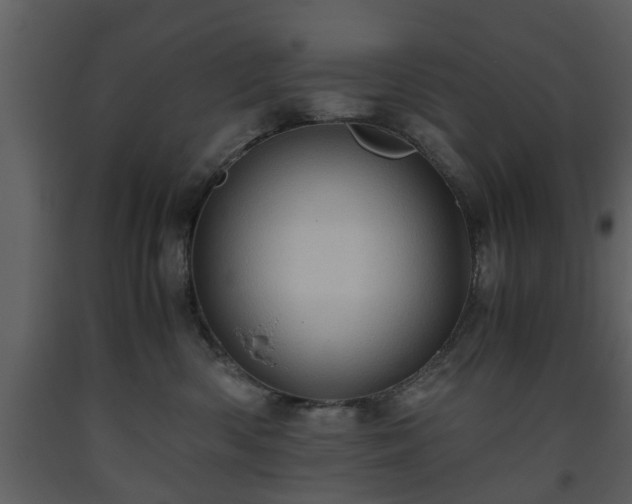 X0000093440426200710191045