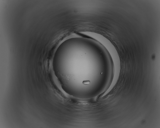 X0000093440428200710191045