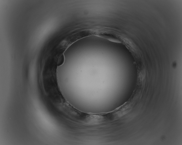X0000093440429200710191045