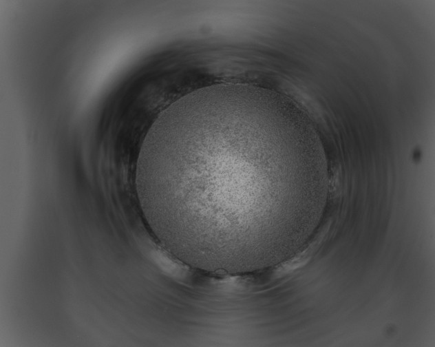 X0000093440430200710191045