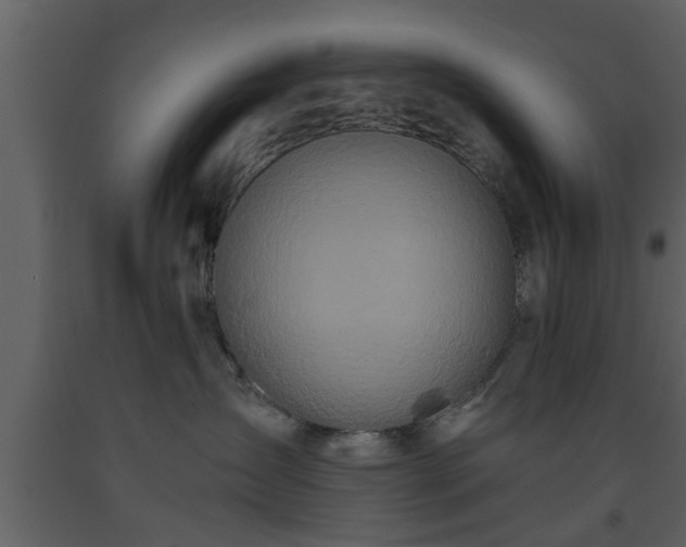 X0000093440431200710191045