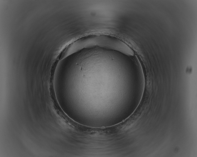 X0000093440434200710191044