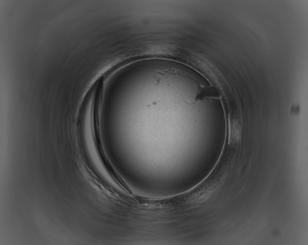 X0000093440435200710191044