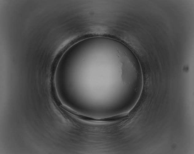 X0000093440440200710191044