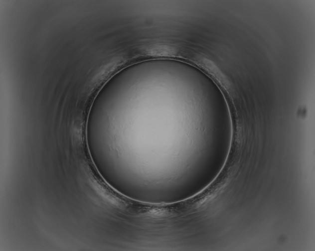 X0000093440441200710191044