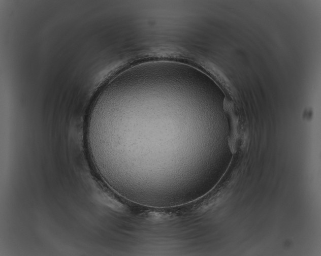 X0000093440442200710191044