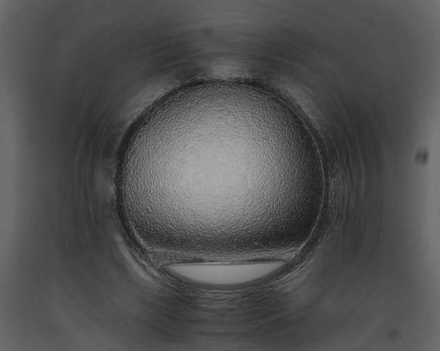 X0000093440443200710191044