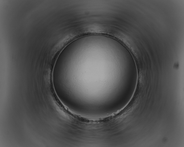 X0000093440445200710191044