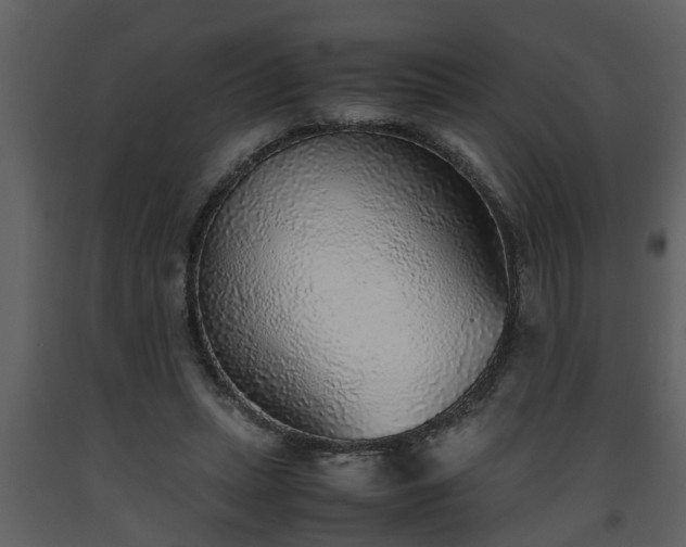 X0000093440447200710191044