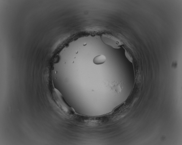 X0000093440448200710191044