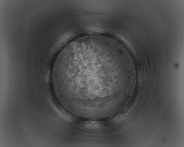 X0000093440451200710191044