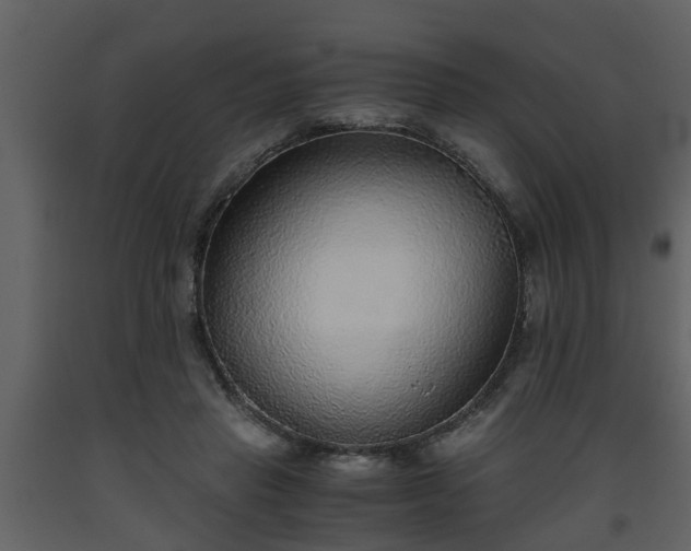 X0000093440453200710191044