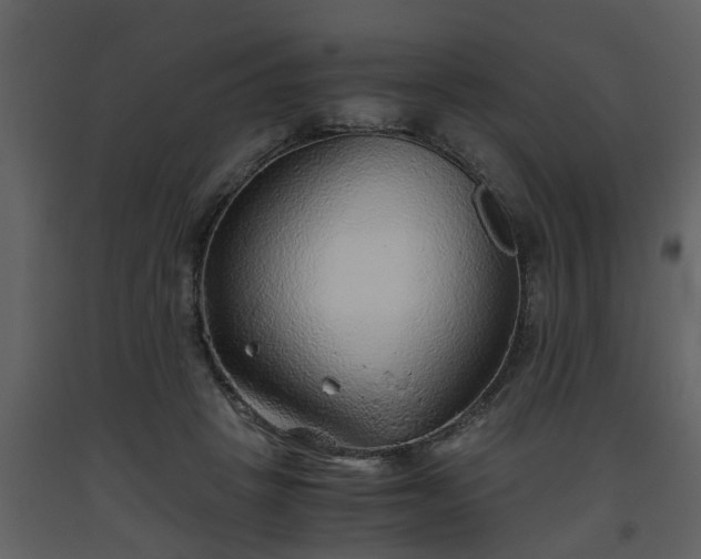 X0000093440457200710191045