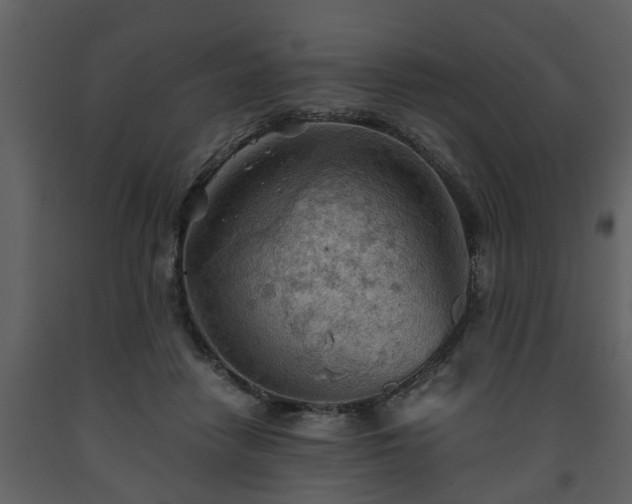 X0000093440458200710191045
