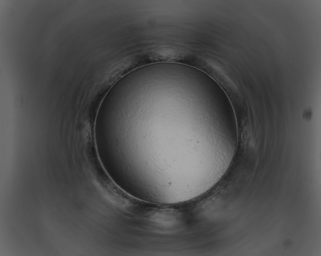 X0000093440459200710191045
