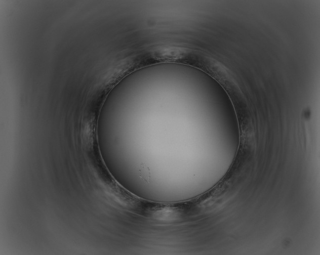 X0000093440460200710191045