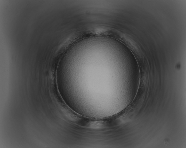 X0000093440461200710191045