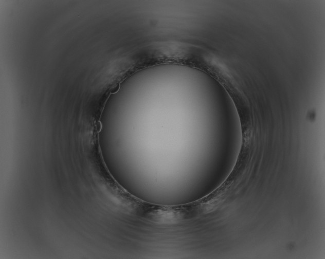 X0000093440464200710191045