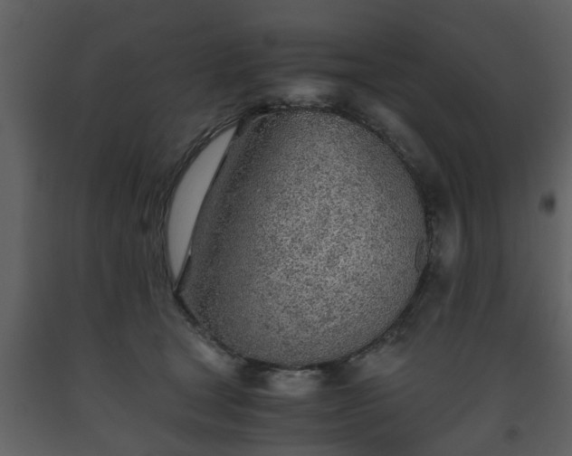 X0000093440465200710191045