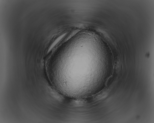 X0000093440466200710191045