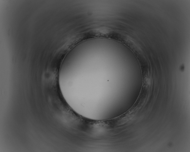 X0000093440468200710191045