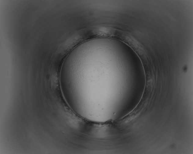 X0000093440469200710191045