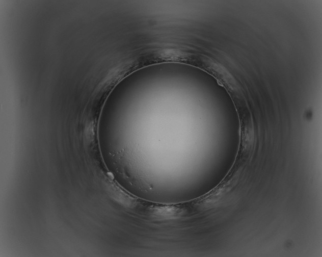 X0000093440473200710191045
