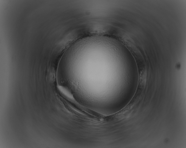 X0000093440474200710191045