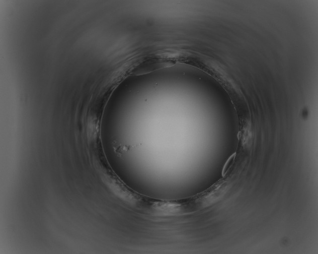 X0000093440476200710191045