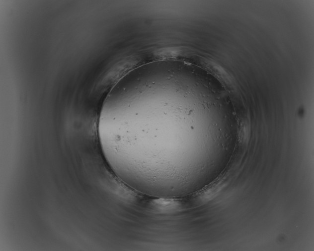 X0000093440477200710191045