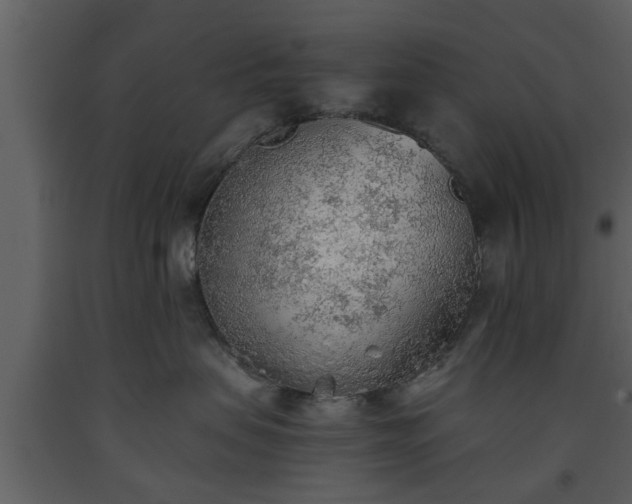 X0000093440479200710191045