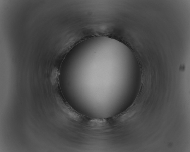 X0000093440480200710191045