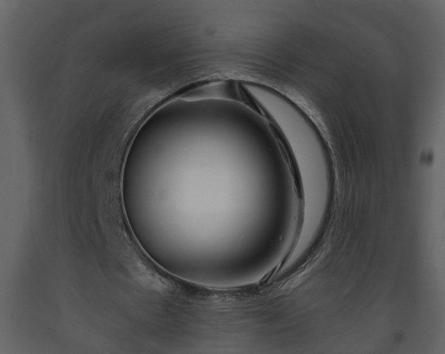 X0000093440481200710191044