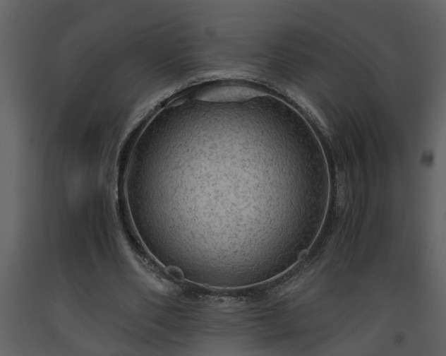 X0000093440486200710191044