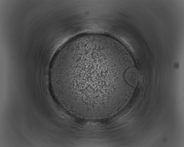 X0000093440487200710191044