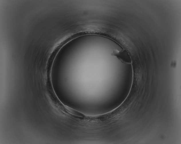 X0000093440488200710191044