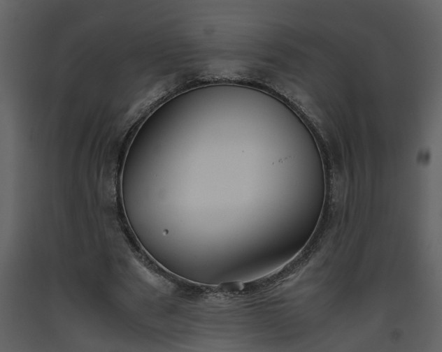 X0000093440489200710191044