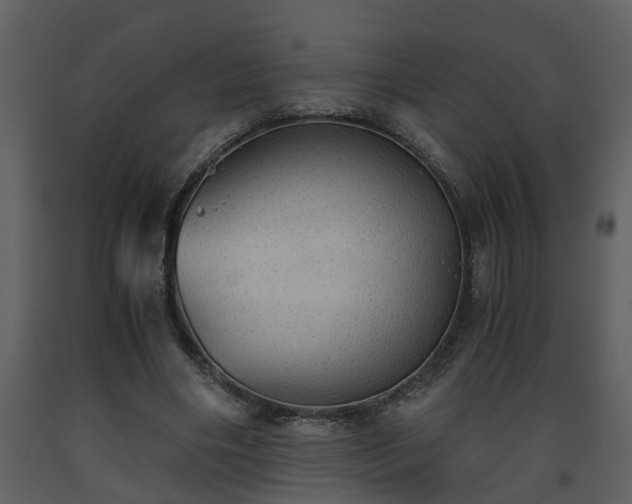 X0000093440490200710191044