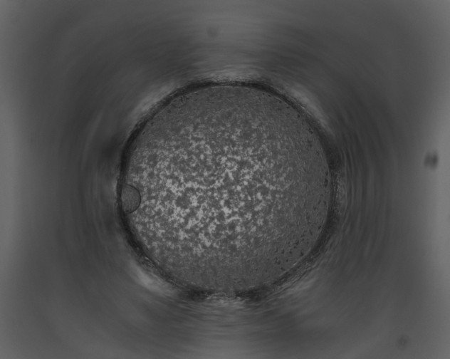 X0000093440491200710191044